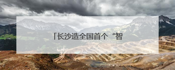 长沙造全国首个“智能押运机器人”亮相