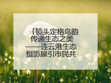 镜头定格鸟韵 传递生态之美——连云港生态摄影展引市民共赏自然之魅