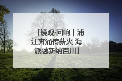 镜观·回响｜浦江奔涌传薪火 海派融新纳百川