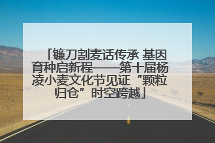 镰刀割麦话传承 基因育种启新程——第十届杨凌小麦文化节见证“颗粒归仓”时空跨越