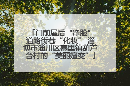 门前屋后“净脸” 道路街巷“化妆” 淄博市淄川区寨里镇葫芦台村的“美丽嬗变”