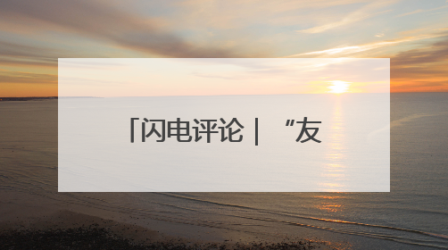 闪电评论｜“友城之桥”托起山东开放新高地