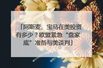 阿斯麦、宝马在美投资有多少？欧盟紧急“盘家底”准备与美谈判