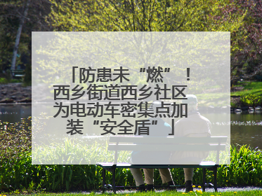 防患未“燃”！西乡街道西乡社区为电动车密集点加装“安全盾”