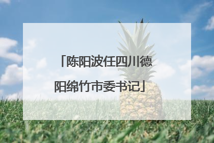 陈阳波任四川德阳绵竹市委书记