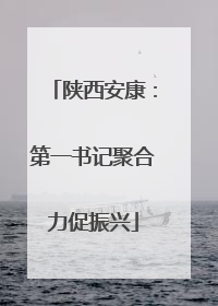 陕西安康：第一书记聚合力促振兴