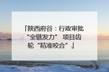 陕西府谷：行政审批“全链发力” 项目齿轮“精准咬合”