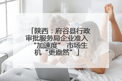 陕西：府谷县行政审批服务局企业准入“加速度” 市场生机“更盎然”