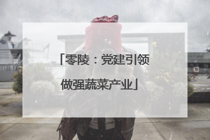 零陵：党建引领 做强蔬菜产业