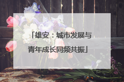 雄安：城市发展与青年成长同频共振