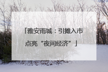 雅安雨城：引摊入市 点亮“夜间经济”