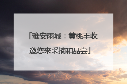 雅安雨城：黄桃丰收 邀您来采摘和品尝