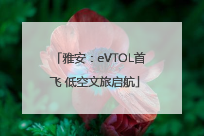 雅安：eVTOL首飞 低空文旅启航