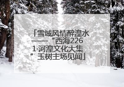 雪域风情醉湟水——“西海2261·河湟文化大集”玉树主场见闻