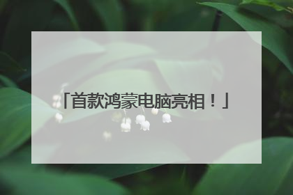 首款鸿蒙电脑亮相！