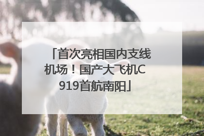 首次亮相国内支线机场！国产大飞机C919首航南阳