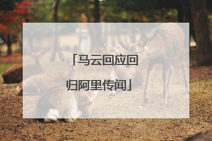 马云回应回归阿里传闻