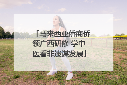 马来西亚侨商侨领广西研修 学中医看非遗谋发展