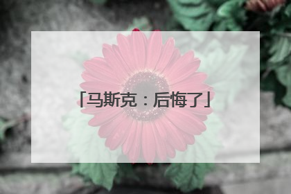 马斯克：后悔了