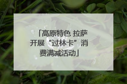 高原特色 拉萨开展“过林卡”消费满减活动