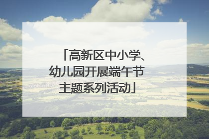高新区中小学、幼儿园开展端午节主题系列活动