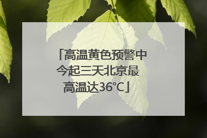 高温黄色预警中 今起三天北京最高温达36℃