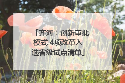 齐河：创新审批模式 4项改革入选省级试点清单