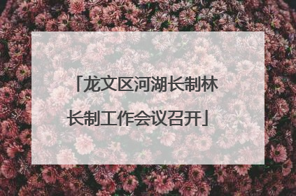 龙文区河湖长制林长制工作会议召开