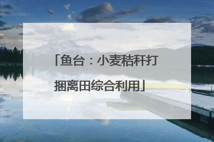 鱼台：小麦秸秆打捆离田综合利用