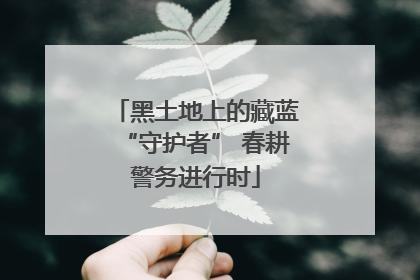 黑土地上的藏蓝“守护者” 春耕警务进行时
