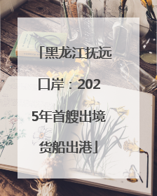 黑龙江抚远口岸：2025年首艘出境货船出港