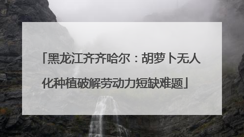黑龙江齐齐哈尔：胡萝卜无人化种植破解劳动力短缺难题