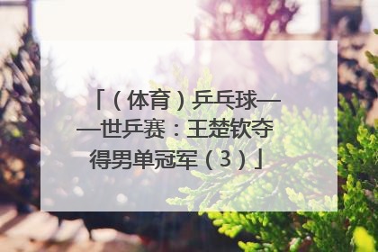 （体育）乒乓球——世乒赛：王楚钦夺得男单冠军（3）