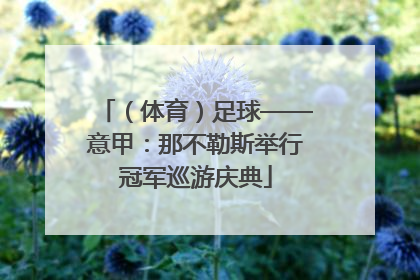 （体育）足球——意甲：那不勒斯举行冠军巡游庆典