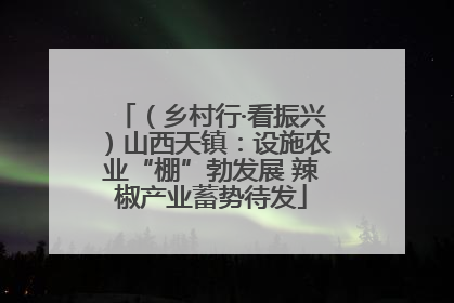 （乡村行·看振兴）山西天镇：设施农业“棚”勃发展 辣椒产业蓄势待发