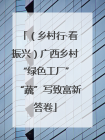（乡村行·看振兴）广西乡村“绿色工厂” “蔬”写致富新答卷