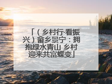 （乡村行·看振兴）畲乡景宁：拥抱绿水青山 乡村迎来共富蝶变