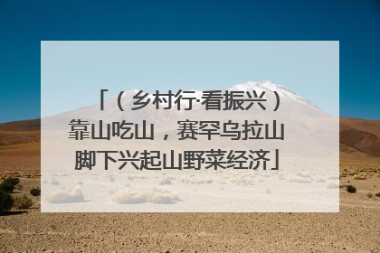 （乡村行·看振兴）靠山吃山，赛罕乌拉山脚下兴起山野菜经济