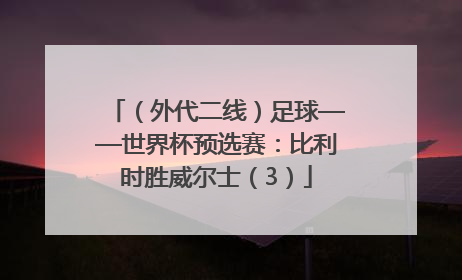 （外代二线）足球——世界杯预选赛：比利时胜威尔士（3）