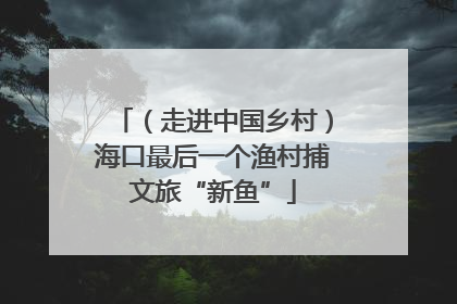 （走进中国乡村）海口最后一个渔村捕文旅“新鱼”