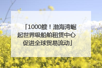 1000艘！渤海湾崛起世界级船舶租赁中心 促进全球贸易流动