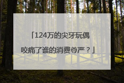 124万的尖牙玩偶 咬痛了谁的消费尊严？