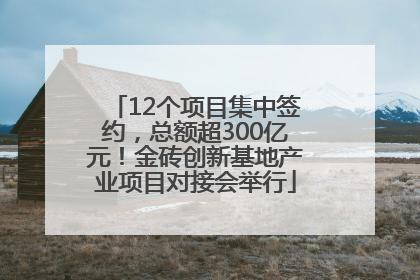 12个项目集中签约，总额超300亿元！金砖创新基地产业项目对接会举行