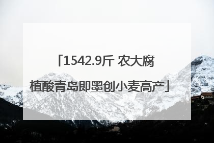 1542.9斤 农大腐植酸青岛即墨创小麦高产