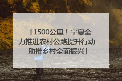 1500公里！宁夏全力推进农村公路提升行动 助推乡村全面振兴