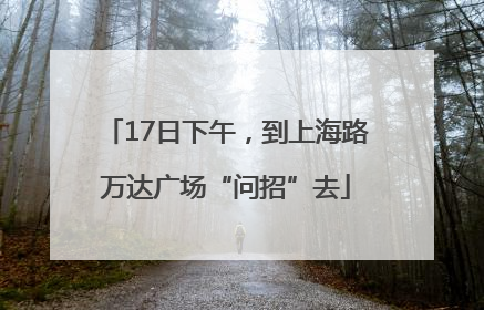 17日下午，到上海路万达广场“问招”去
