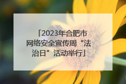 2023年合肥市网络安全宣传周“法治日”活动举行