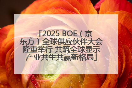 2025 BOE（京东方）全球供应伙伴大会隆重举行 共筑全球显示产业共生共赢新格局
