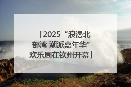 2025“浪漫北部湾 潮派嘉年华”欢乐周在钦州开幕