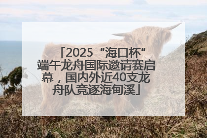 2025“海口杯”端午龙舟国际邀请赛启幕，国内外近40支龙舟队竞逐海甸溪